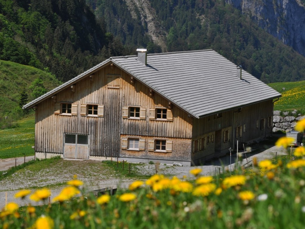 Alpe Weißenbach