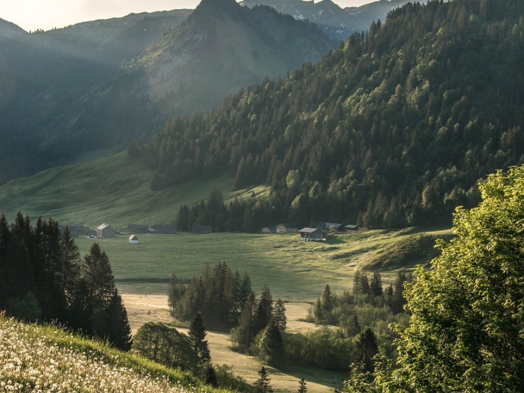 Blick auf Schönenbach von der Alpe Kretzboden
